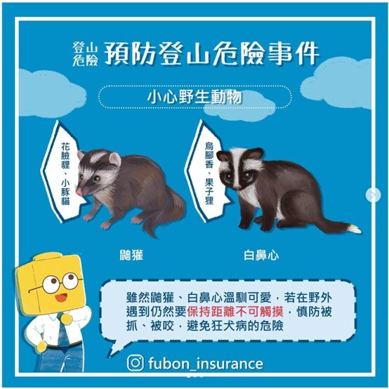 注意鼬獾，繁盛季節小心惹上狂犬病