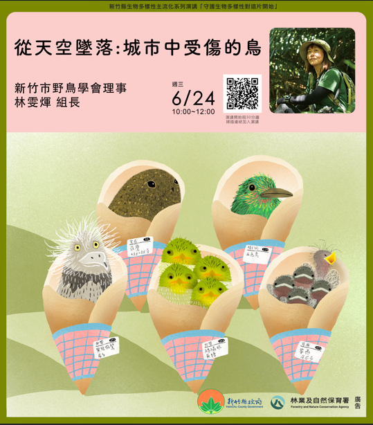 2026生物多樣性海報設計_鳥類